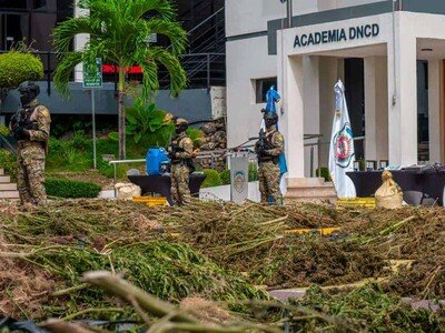  Más de cinco personas arrestadas por plantación de marihuana en 2026